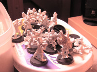 Blood Bowl - Highelf Team