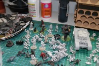 Bolt Action