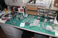 Bolt Action