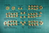 Perry Miniatures - 8th Army Desert Rats