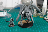 Carnifex Conversion