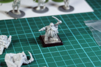 Freebooters Fate Zwerge