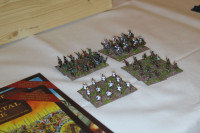 Field of Glory German Open 2013
