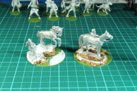 Perry Miniatures - Spanish Crusaders