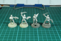 Inq28 - Frateris Militia