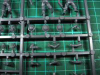 Warlord Games - British Infantry