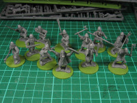Gripping Beast - Viking Hirdmen