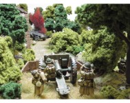 Bolt Action - Armies of Germany
