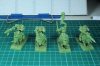 Warhammer Fantasy - Orc Boarboyz