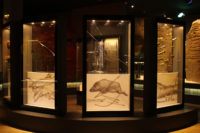 MUPAC - Museo de Prehistoria y Arqueología de Cantabria