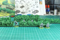 Battlefield in a Box - Hedgerows