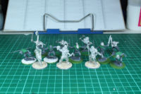 SAGA Ancient German Warband