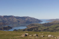 New Zealand - Akaroa