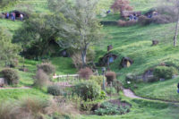 New Zealand 2017 - Hobbiton Movie Set