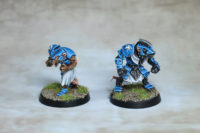 Blood Bowl - Skycastle Titans