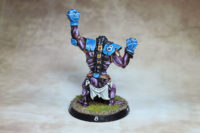 Blood Bowl - Skycastle Titans