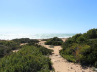 Cap de ses Salines