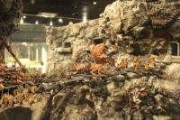 Games Workshop - Warhammer World Exhibition Centre