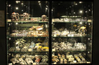 Games Workshop - Warhammer World Exhibition Centre