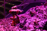 Games Workshop - Warhammer World Exhibition Centre