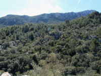 Santuari de Lluc