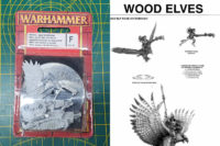 Wood Elf Mage on War Hawk