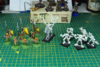 Wood Elf Warband