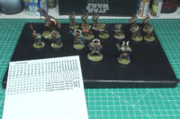 Blood Bowl - Mordheim Marauders