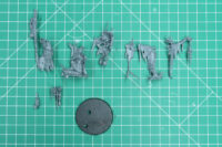 Age of Sigmar - Stormbringer Kruleboyz Swampcalla Shaman with Pot-Grot