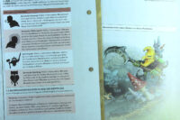 Warhammer Age of Sigmar Stormbringer Issue 24