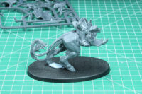 Age of Sigmar Warcry - Stormcast Eternals Lord Aquillar