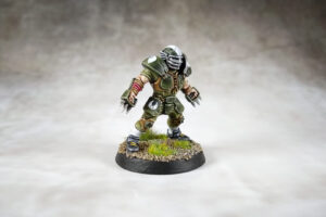 Blood Bowl - Averland Hawks 3