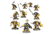 Age of Sigmar Stormbringer Magazine 73 'Ardboys