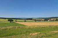 Limeskastell und Wachturm Pohl