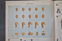 Warhammer The Old World - Grand Cathay Jade Warriors