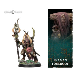 Warhammer Quest: Darkwater - Shaman Foulhoof