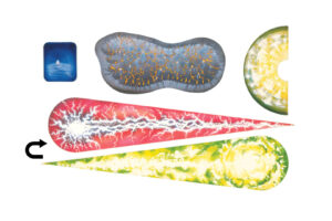 Warhammer 40,000 - 2nd Edition Dark Millenium Expansion Set