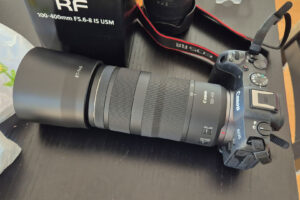 Canon RF 100-400mm F5.6-8 IS USM on R8 Body
