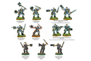 Warhammer 40,000 - Space Wolves Wolf Scouts